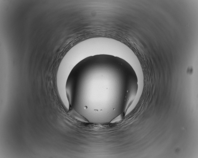 X0000099460229200806061136