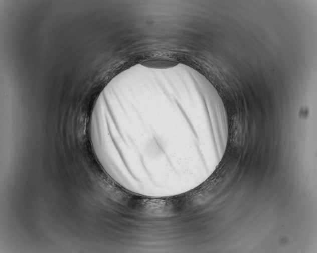 X0000099460230200806061136