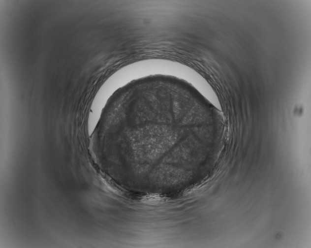 X0000099460231200806061136