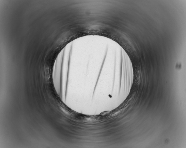 X0000099460232200806061136