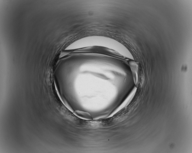 X0000099460233200806061136