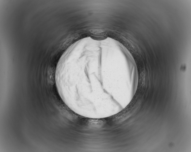 X0000099460234200806061136