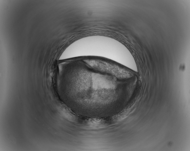 X0000099460235200806061136