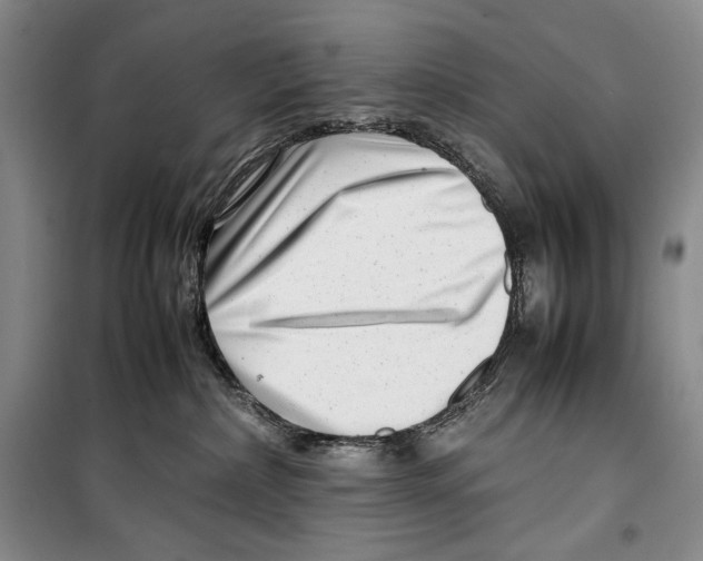 X0000099460236200806061136