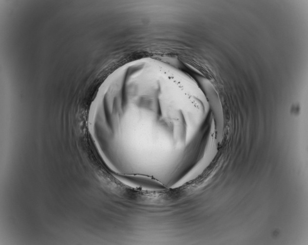 X0000099460237200806061136