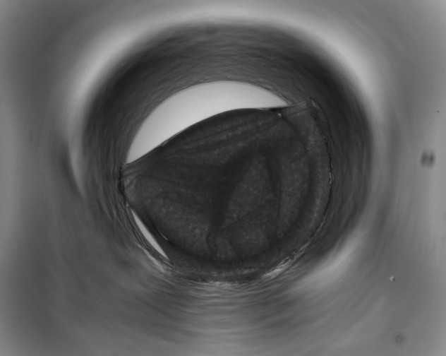 X0000099460239200806061136