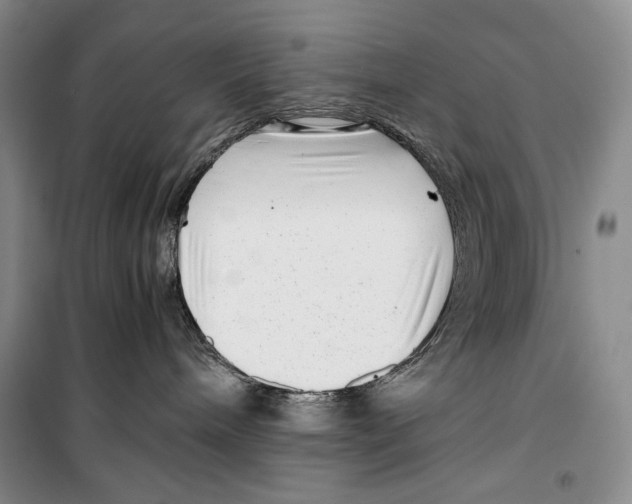 X0000099460240200806061136