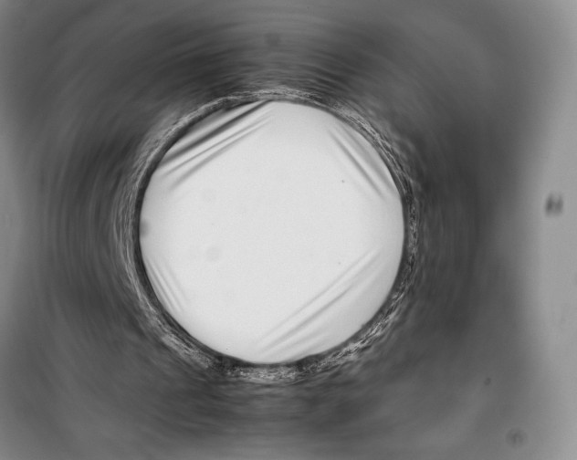 X0000099460241200806061136