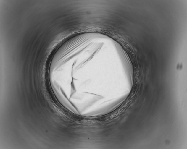 X0000099460242200806061136