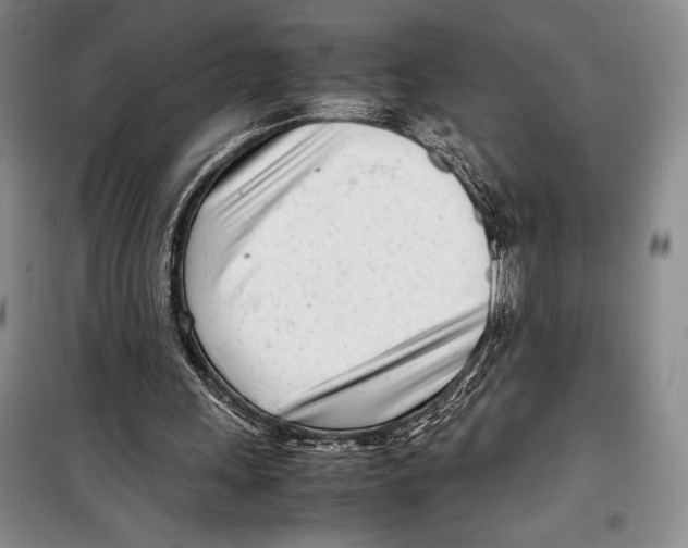 X0000099460243200806061136