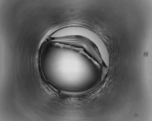 X0000099460244200806061136