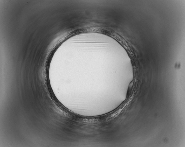 X0000099460245200806061136