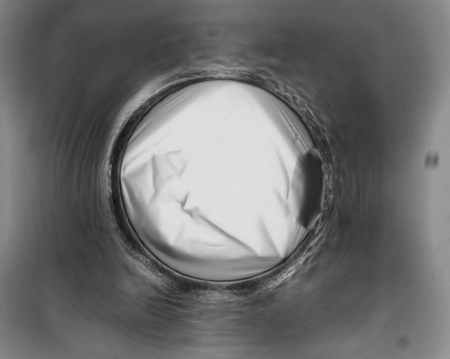 X0000099460246200806061136