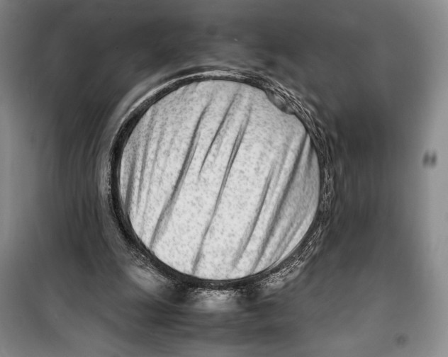 X0000099460247200806061136