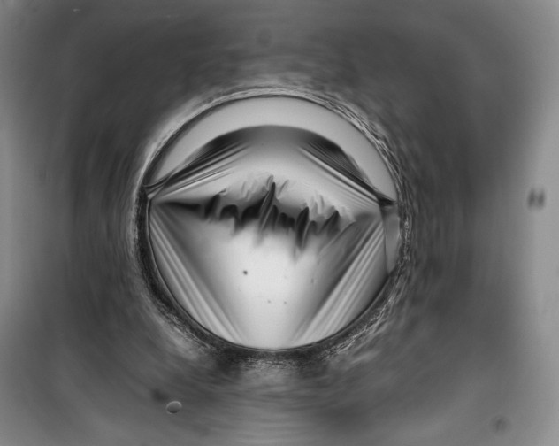 X0000099460248200806061136