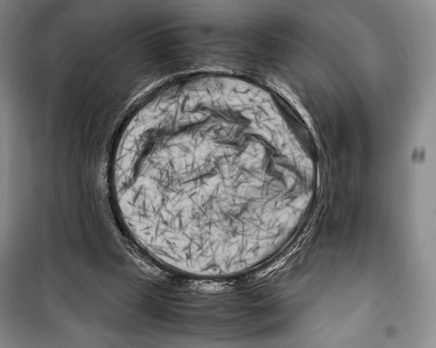 X0000099460249200806061136