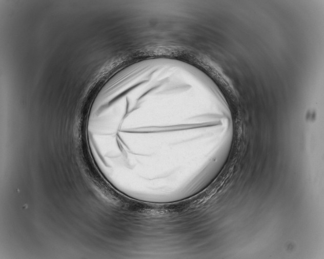 X0000099460250200806061136