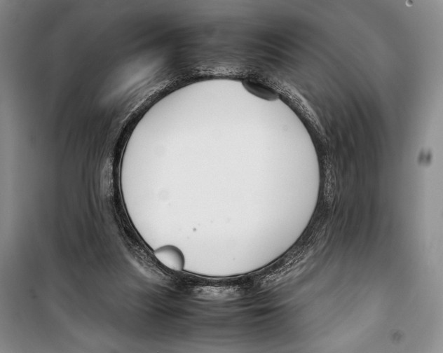 X0000099460251200806061136