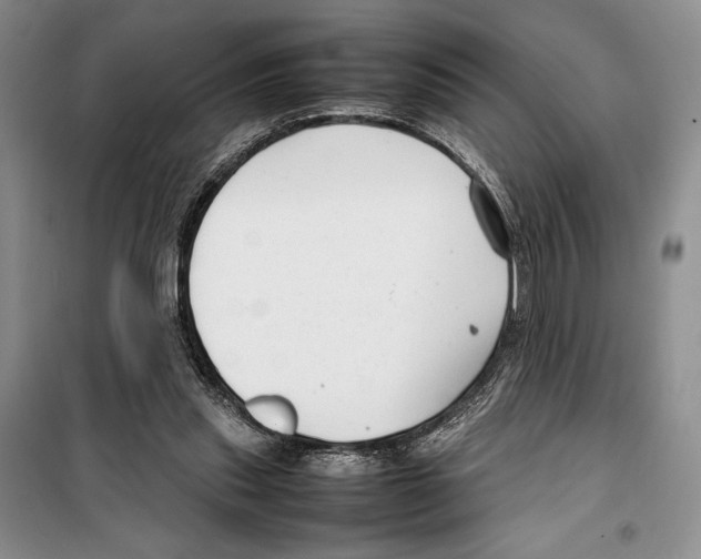 X0000099460253200806061136