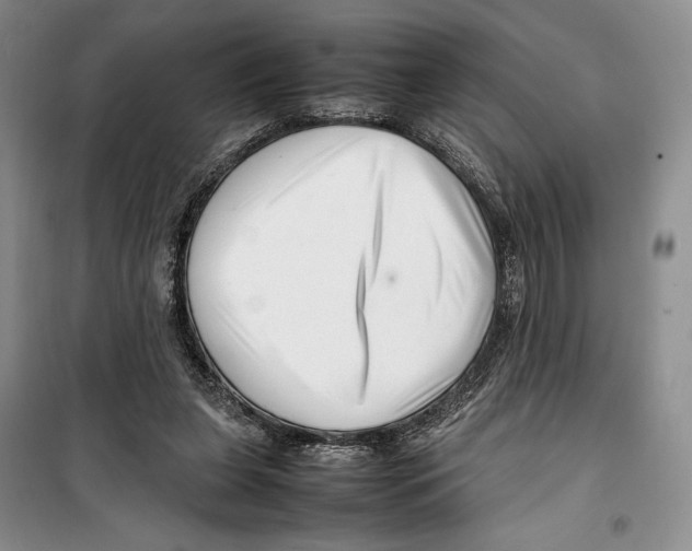 X0000099460255200806061136