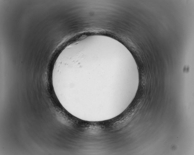 X0000099460256200806061136