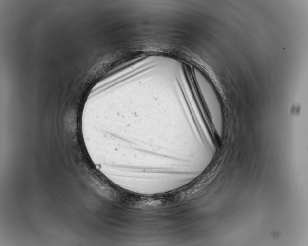 X0000099460257200806061136