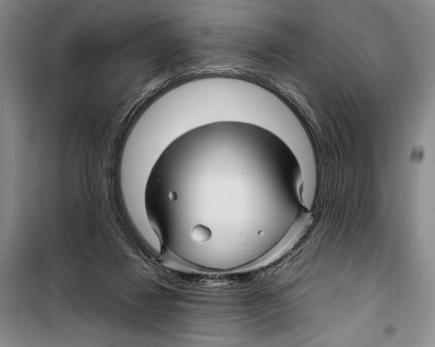 X0000099460260200806061136