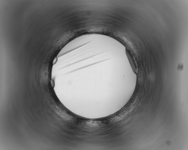 X0000099460261200806061136