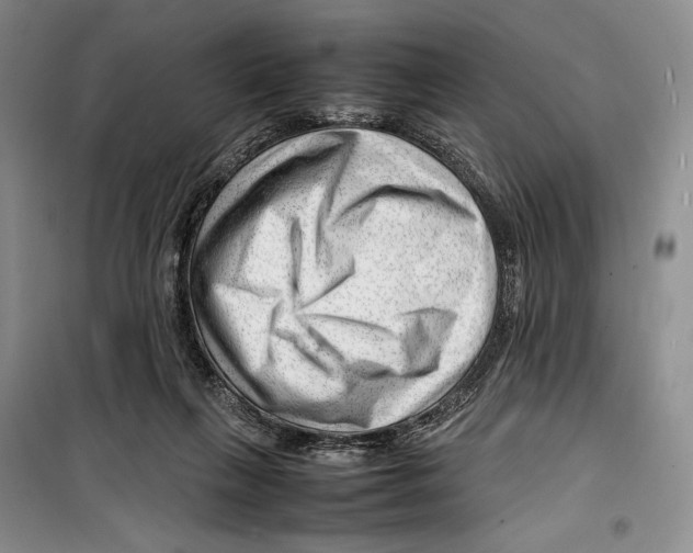 X0000099460263200806061136