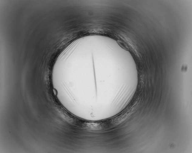 X0000099460265200806061136