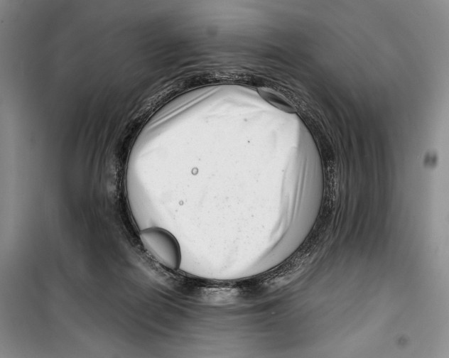 X0000099460266200806061136