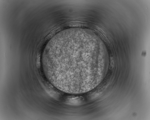 X0000099460267200806061136