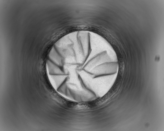 X0000099460270200806061136