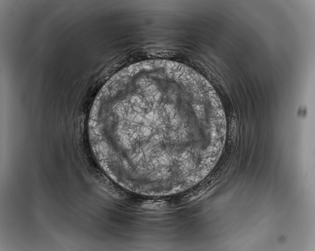 X0000099460271200806061136