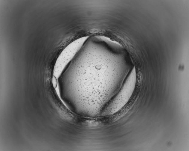 X0000099460272200806061136