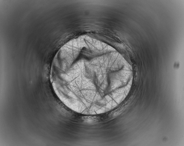 X0000099460273200806061136