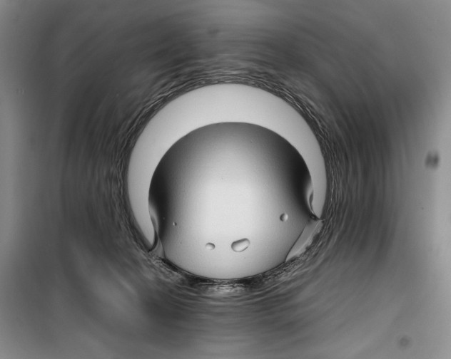 X0000099460274200806061136