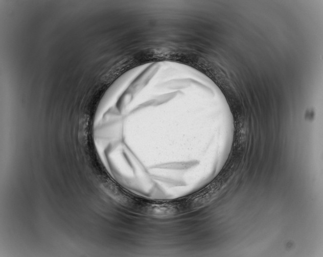 X0000099460275200806061136