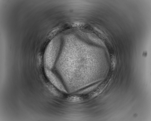 X0000099460276200806061136