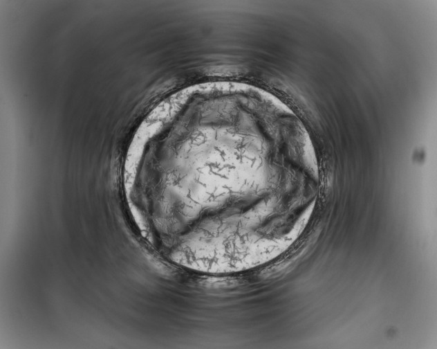 X0000099460277200806061136