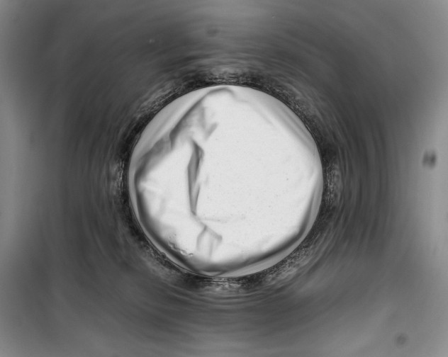 X0000099460278200806061136