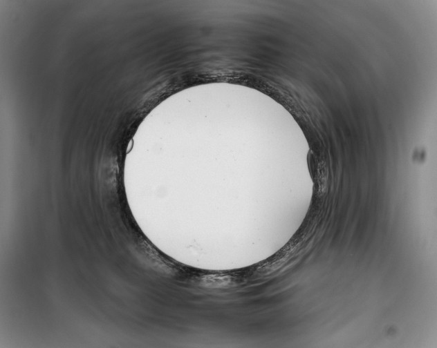 X0000099460279200806061136