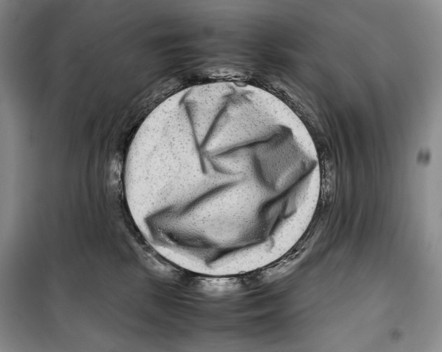 X0000099460281200806061136