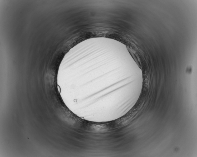 X0000099460283200806061136