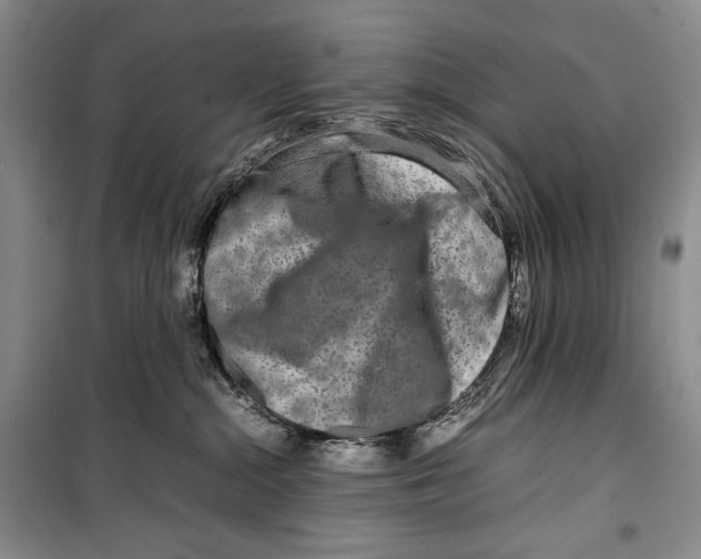 X0000099460284200806061136