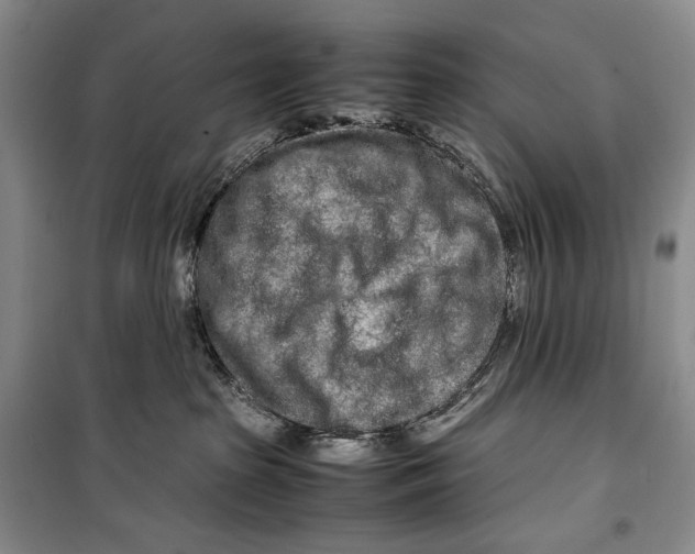 X0000099460285200806061136