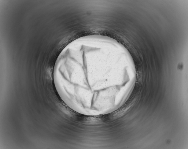 X0000099460286200806061136