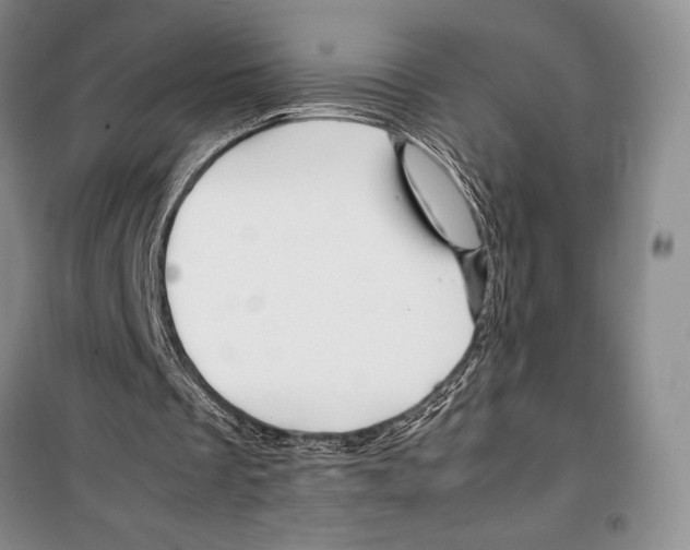 X0000099460289200806061135