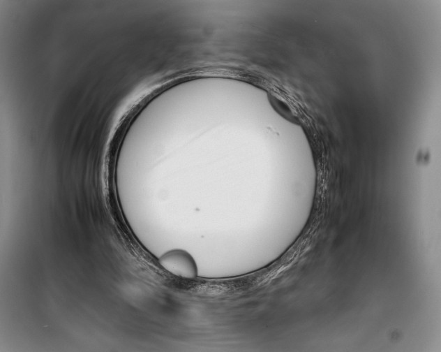 X0000099460294200806061135