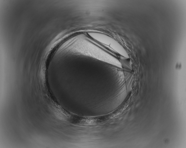 X0000099460295200806061135